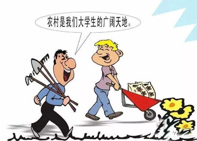 考公、考研難度高，應(yīng)屆生你還有4種選擇