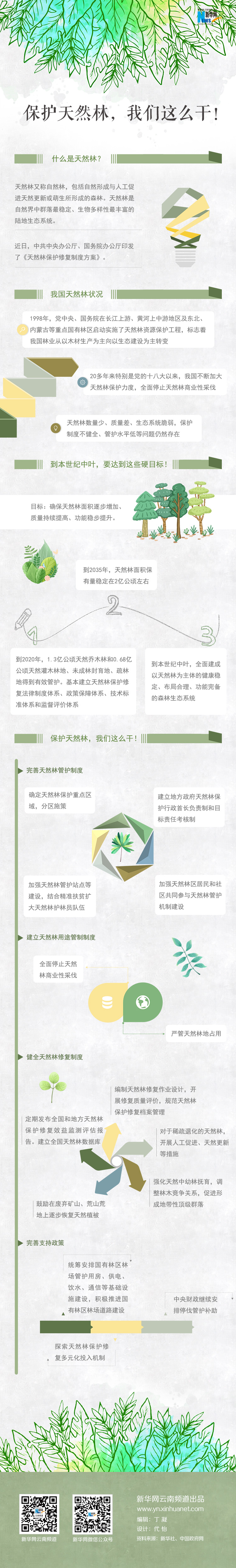2020年國家公務(wù)員考試時政：保護(hù)天然林，我們這么干！